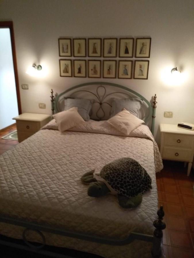 Casa Di Nonna Cate Daire Montepulciano Stazione Dış mekan fotoğraf